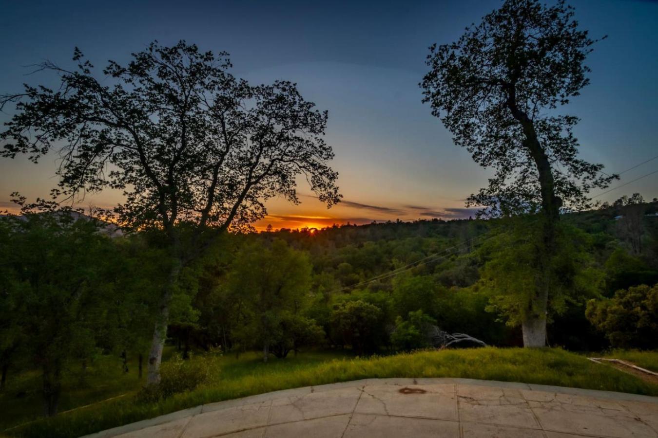 10-Acre Forest Villa, 20 Miles From Yosemite South Oakhurst Exterior foto