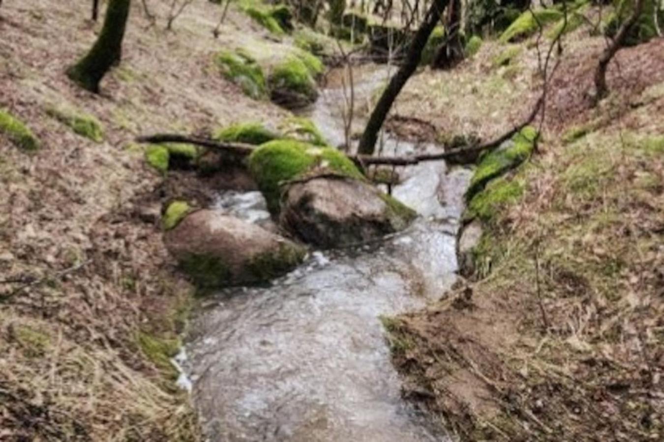 10-Acre Forest Villa, 20 Miles From Yosemite South Oakhurst Exterior foto
